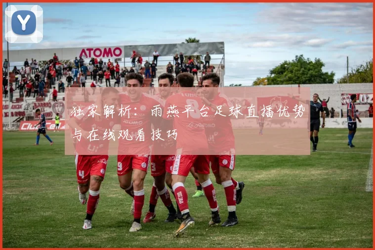 独家解析：雨燕平台足球直播优势与在线观看技巧