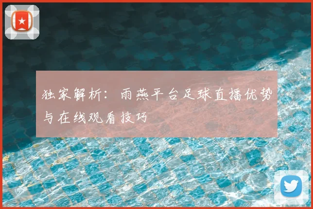 独家解析：雨燕平台足球直播优势与在线观看技巧