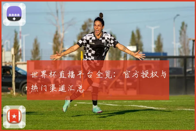 世界杯直播平台全览：官方授权与热门渠道汇总