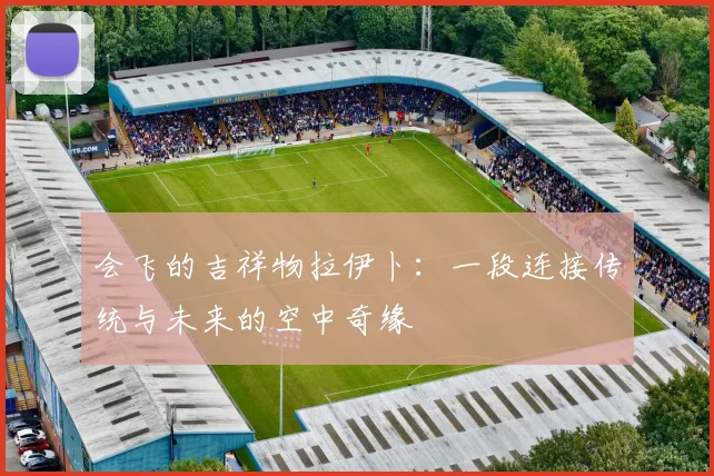 会飞的吉祥物拉伊卜：一段连接传统与未来的空中奇缘