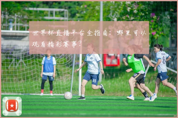 世界杯直播平台全指南：哪里可以观看精彩赛事？