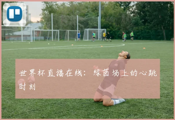 世界杯直播在线：绿茵场上的心跳时刻