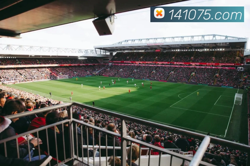 mksports官方网站登录入口服务体系